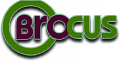 BROCUS