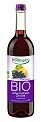        HOLLINGER BLACKCURRANT-LEMON FRUITSYRUP, 700 